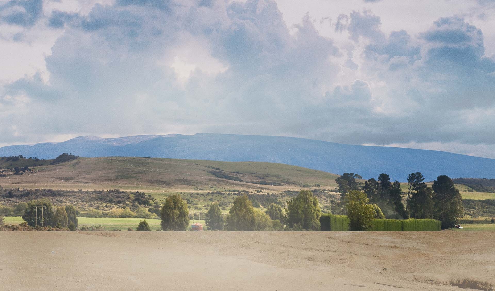 farmland landscape